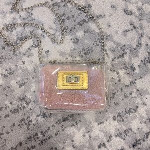 Steve Madden clear flap crossbody